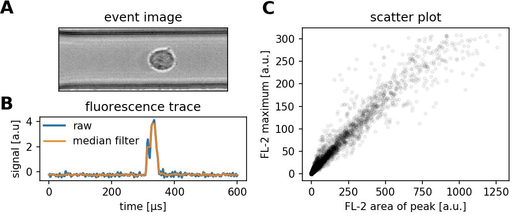_images/fluorescence.jpg